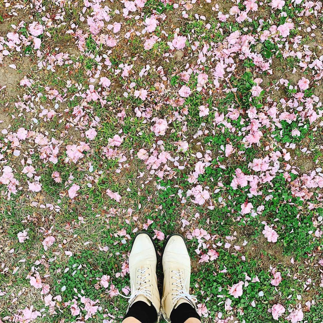 宮島咲良さんのインスタグラム写真 - (宮島咲良Instagram)「お仕事終わりに とても陽気が良かったので思い立って一人お散歩に☻ ずっと行きたかった『TEAPOND』さんにも寄れたのでニコニコ。 フレーバーティーを4種類ゲットしたので楽しみに飲むよ。 新緑と八重桜のコンボが最高でした。 カメさんとコイさんのお写真は日本画みたいに撮れたぬぁー ㅤㅤㅤㅤㅤㅤㅤㅤㅤㅤㅤㅤㅤ #清澄庭園 #新緑 #八重桜 #teapond #紅茶 #お散歩」4月23日 23時55分 - sakura_miyajiman