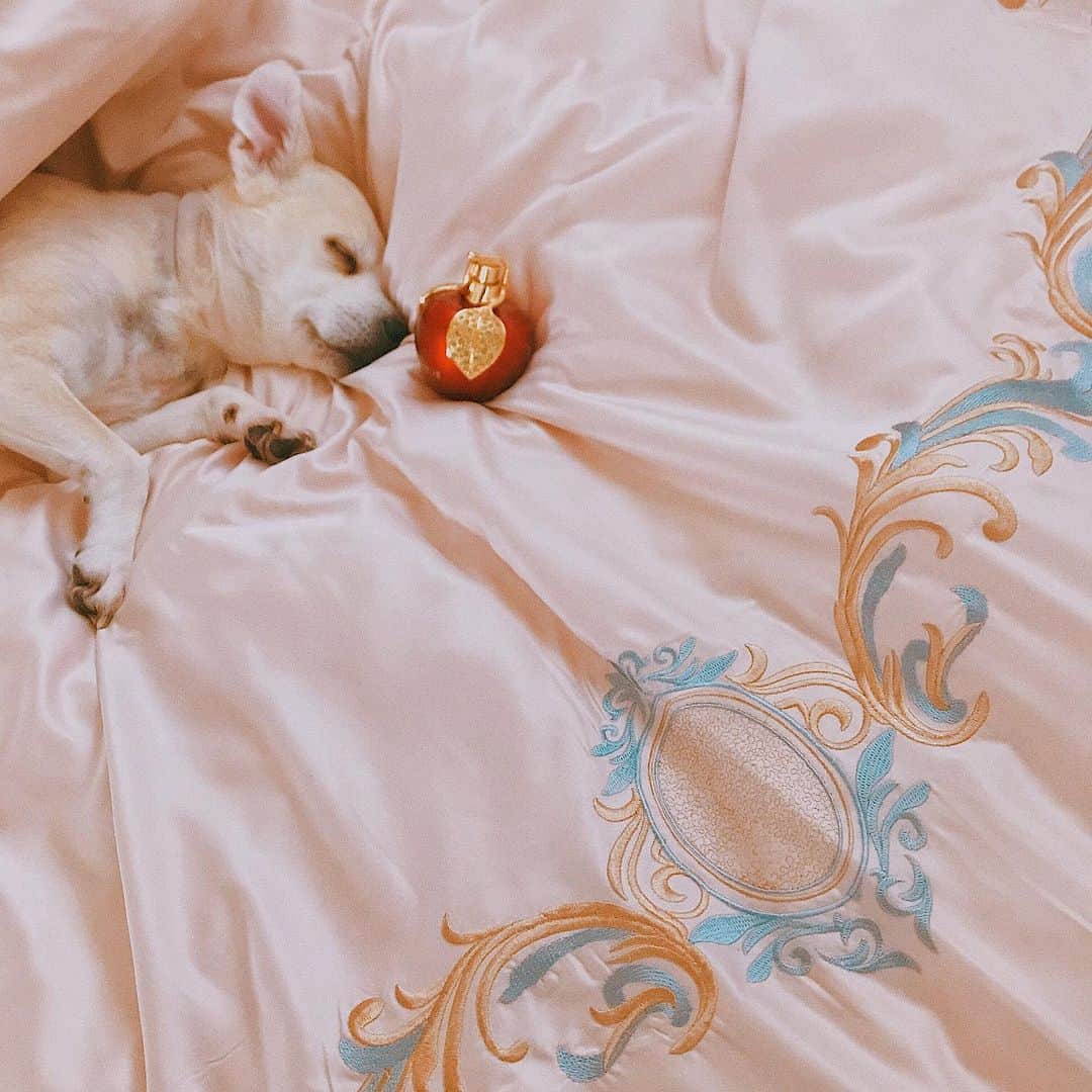 ナ・ヒョンソンのインスタグラム：「My favorite ☾」