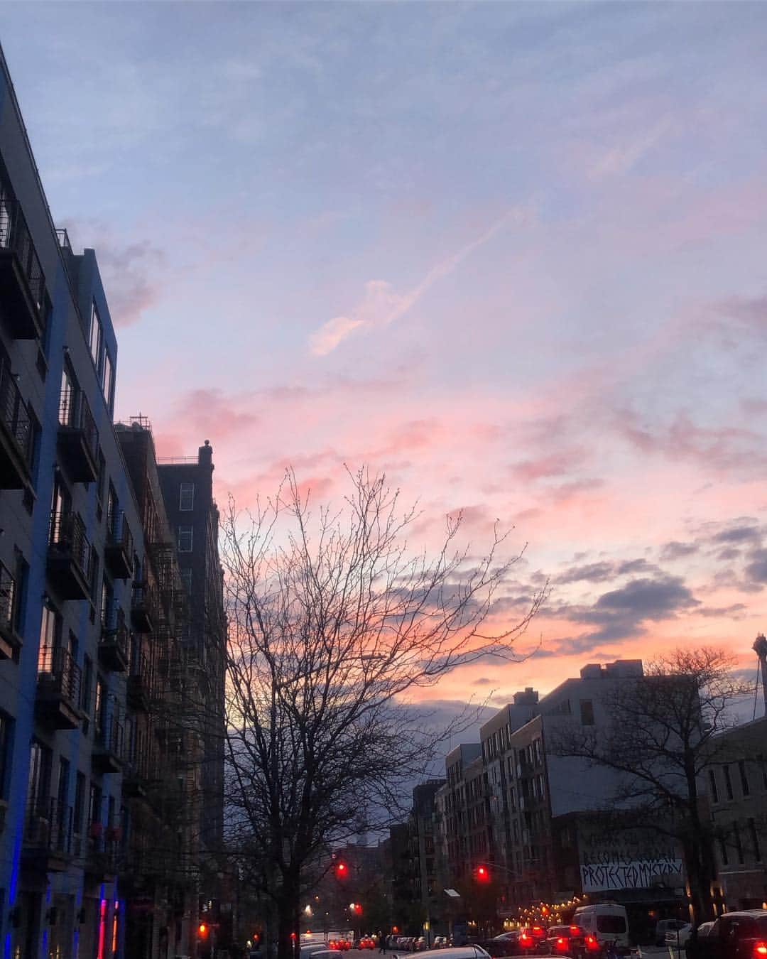 ポーリーヌ・オアロのインスタグラム：「My #HappyEarthDay was three weeks ago running by the lake, my happy earth day was four days ago remembering Costa Rica, my happy earth day is admiring this NY sunset, my happy earth day is a day late but hey we don’t need a day to acknowledge Nature 🐸  Be aware of the amount of plastic you use, of what you eat and where it comes from, how much water you use a day, how often do you buy new clothes and how are they produced... There are so many little actions to be taken, choose one to start.. and then many. By being aware and documenting ourselves we can start adapting our behaviours to build a future we’ll be proud of... Small actions lead to big changes ✨  #sustainability」