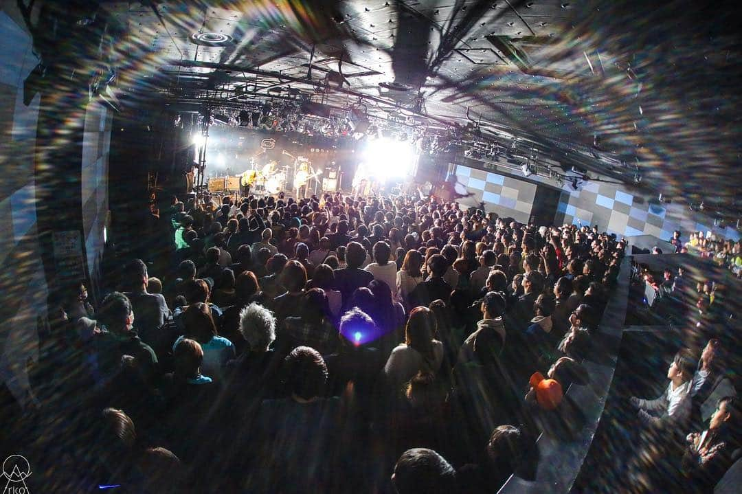 tricotさんのインスタグラム写真 - (tricotInstagram)「4.12.19 DAIHANSYASAI Tour. QUATTRO,Osaka Pic: @yksn_photo  #tricot」4月24日 2時01分 - tricot_band_jp