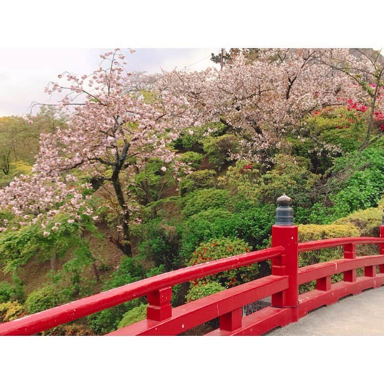 桜野羽咲さんのインスタグラム写真 - (桜野羽咲Instagram)「🍓﻿ ﻿ ﻿ ﻿ ﻿ 息抜きにお散歩した日の。﻿ ﻿ ﻿ ﻿ ﻿ ﻿ ﻿ ﻿ ﻿ ﻿ ﻿ #selfie #flower #sakura #cherryblossom #pink #pinkhair #vans #photo #foodie #fashion #vv #japan #girl #桜 #散歩 #アプレジュール」4月24日 2時00分 - sakuranousa