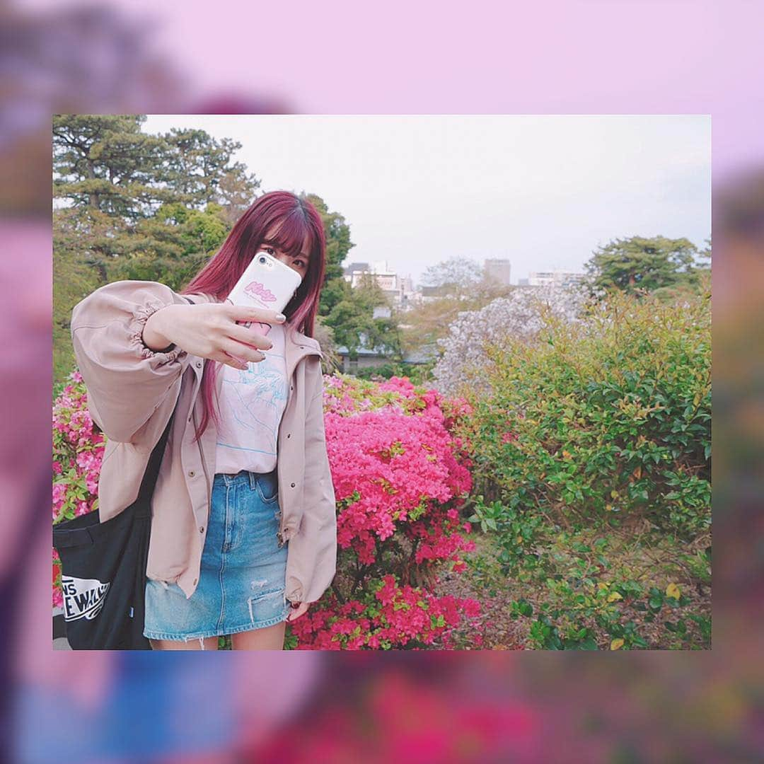 桜野羽咲さんのインスタグラム写真 - (桜野羽咲Instagram)「🍓﻿ ﻿ ﻿ ﻿ ﻿ 息抜きにお散歩した日の。﻿ ﻿ ﻿ ﻿ ﻿ ﻿ ﻿ ﻿ ﻿ ﻿ ﻿ #selfie #flower #sakura #cherryblossom #pink #pinkhair #vans #photo #foodie #fashion #vv #japan #girl #桜 #散歩 #アプレジュール」4月24日 2時00分 - sakuranousa