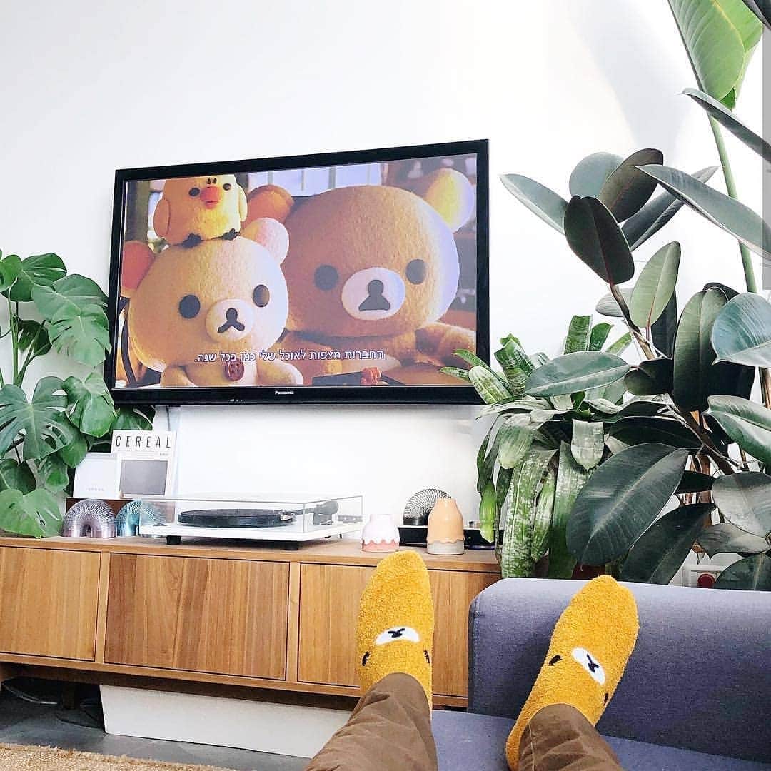 Rilakkuma US（リラックマ）さんのインスタグラム写真 - (Rilakkuma US（リラックマ）Instagram)「We are so happy our fans are enjoying the new "Rilakkuma and Kaoru" series on Netflix! We love how @doronb chose to enjoy the show with themed socks! The show's audio is available in German, English, Spanish, French and Japanese, and subtitles are available in English, Spanish, Japanese and Chinese! . Show us your viewing set ups for watching the show and tag us for your chance to be featured here! . . . #Rilakkumaus #rilakkuma #rilakkumaandkaoru #Netflix #netflixjp #showdebut #リラックマ #ネットフリックス #リラックマとカオルさん」4月24日 2時10分 - rilakkumaus