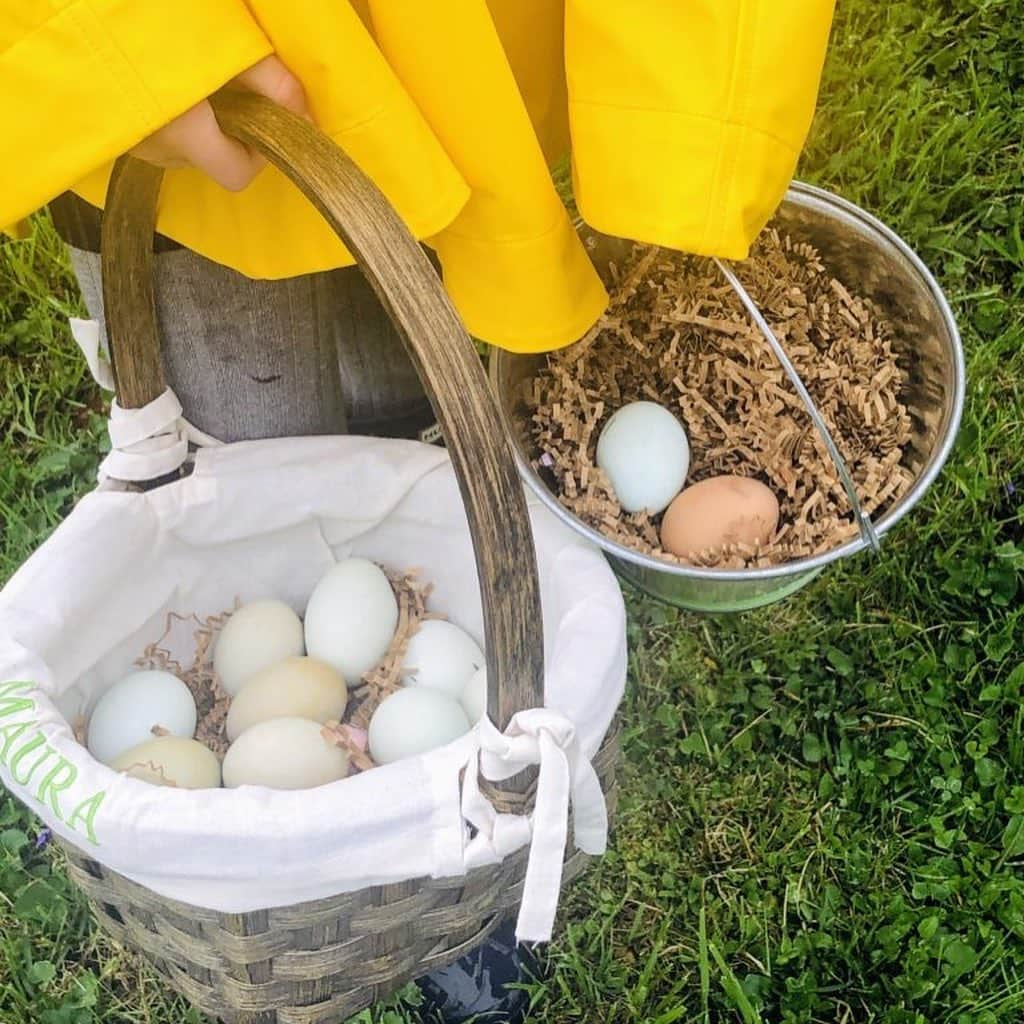 マーサ・スチュワートさんのインスタグラム写真 - (マーサ・スチュワートInstagram)「Easter brunch at @marthastewart48’s Bedford farm is always a sight to behold. 🐰 “This year, more than 70-guests joined me for Easter lunch at my Bedford, New York farm. We all gathered for a delicious feast prepared by me, and my friend and chef, Pierre Schaedelin, of @pstailoredevents - it included salmon 🐟, ham, lamb chops, stuffed artichokes, asparagus, potato pierogis 🥟, fresh salads 🥗, homemade biscuits, brioche, tarts, babkas, cookies 🍪 and so much more.” - Martha. 🥚✨ And there were bunnies and eggs on nearly every surface! 🥚Head over to #themarthablog at the link in bio to see all the details come to life! 👆🏼📷: via The Martha Blog + @marthastewart48」4月24日 2時25分 - marthastewart