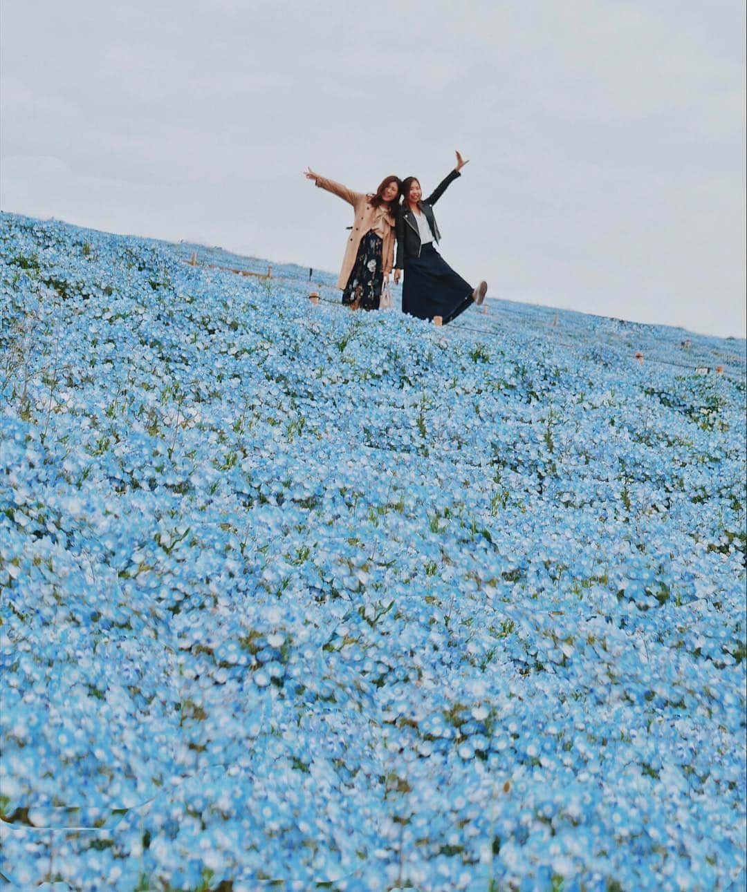 タビジョのインスタグラム