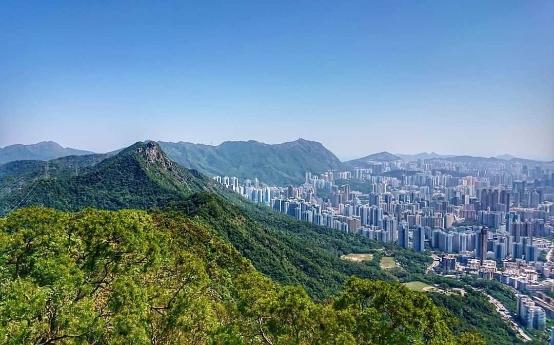 Discover Hong Kongさんのインスタグラム写真 - (Discover Hong KongInstagram)「Trek Hong Kong’s urban hikes and enjoy panoramic views over the city’s concrete forest.  踏足香港市區山徑，飽覽動人都市景觀！ 香港でのトレッキングの醍醐味は、街を見渡せるパノラマビューが楽しめること。 📷: @ceciliachanworld #DiscoverHongKong #repost」4月24日 13時00分 - discoverhongkong
