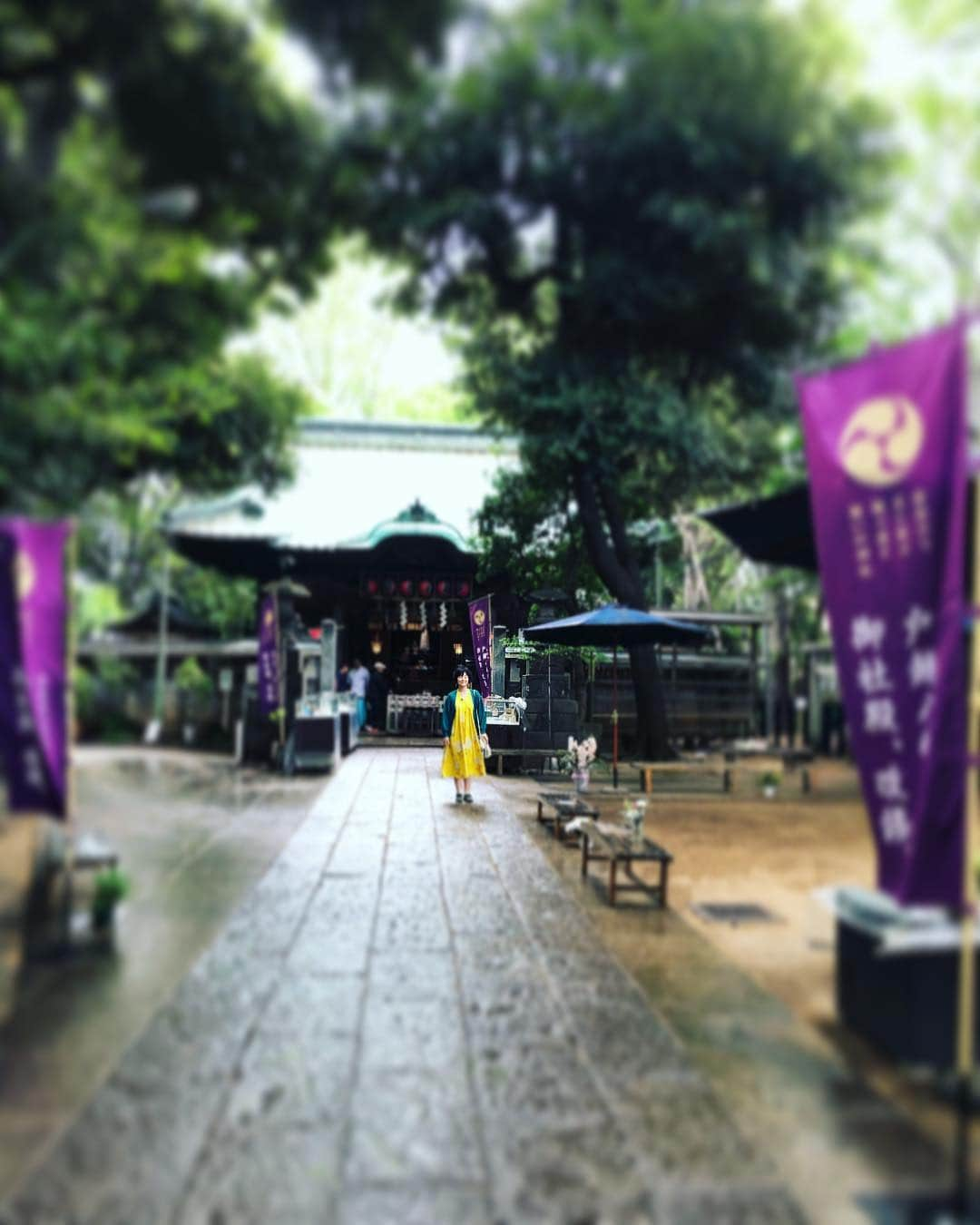 藤田朋子さんのインスタグラム写真 - (藤田朋子Instagram)「#雨 #でも #止んだ？」4月24日 13時02分 - chiendormant