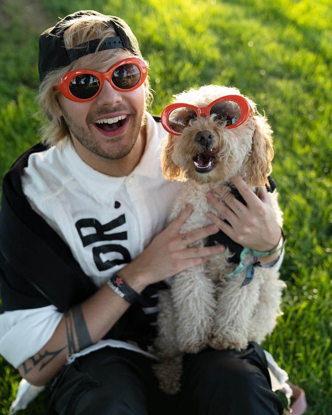 マイケル・クリフォードのインスタグラム：「world - please welcome to our family.... SWEET GIRL MOOSE!! it’s been a little over a year since our little baby Georgia passed away, and after working our way through the grief and sadness, we came to the realization that the love we had for her would never be replaced.  we were really hesitant about getting another dog because we were worried things would never feel the same, but when we realized @southy was grieving even more than us we accepted that we had to move through it.  in saying that, sometimes the best way to work through sadness is just to love more. and my god Moose is a dog who loves more than anyone.」