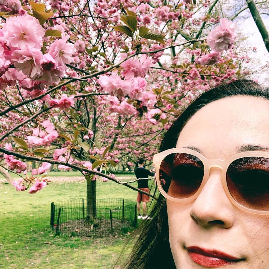 シルビア・グラブさんのインスタグラム写真 - (シルビア・グラブInstagram)「NYも桜が満開だよ  #cherryblossoms #centralpark #beautifulday #こっちの桜は色が濃い」4月24日 6時45分 - sylviagrab717