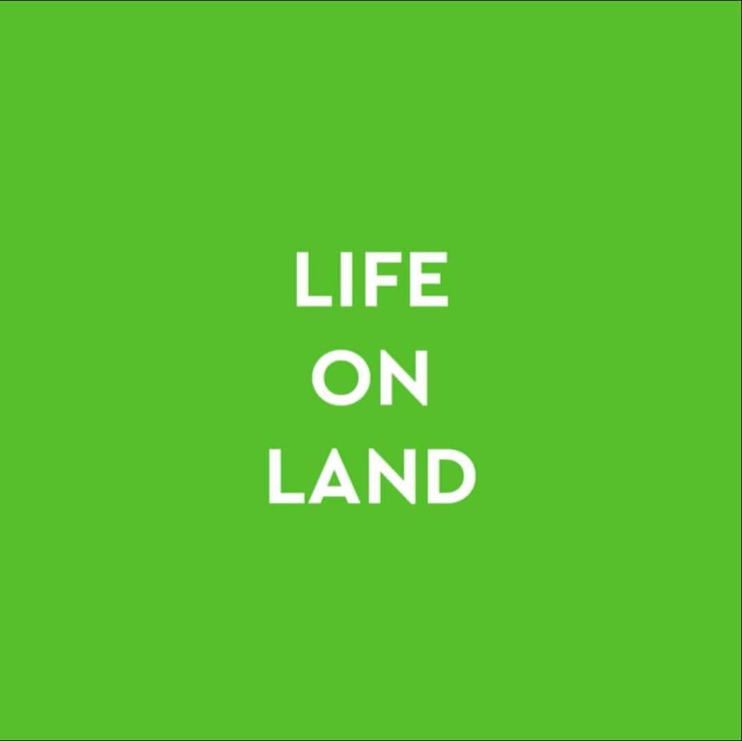 アリゾナ・ミューズさんのインスタグラム写真 - (アリゾナ・ミューズInstagram)「This is the colour of UN #goal15: Life On Land. So excited to be a @TOGETHERBANDOFFICIAL Ambassador for this goal. #TOGETHERBAND is about creating a healthy future by supporting the 17 Global Goals created by the UN. These are the most challenging issues that our planet faces. We need to take action to create a sustainable future. Right now. Goal number 15 is one which I’m personally most passionate about.  #TOGETHERBAND #BOTTLETOP #GLOBALGOALS #GOAL15 #SHAREYOURGOAL #UNFOUNDATION #UBS #WWF」4月24日 6時59分 - arizona_muse