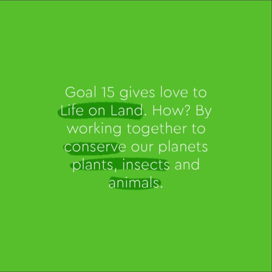 アリゾナ・ミューズさんのインスタグラム写真 - (アリゾナ・ミューズInstagram)「This is the colour of UN #goal15: Life On Land. So excited to be a @TOGETHERBANDOFFICIAL Ambassador for this goal. #TOGETHERBAND is about creating a healthy future by supporting the 17 Global Goals created by the UN. These are the most challenging issues that our planet faces. We need to take action to create a sustainable future. Right now. Goal number 15 is one which I’m personally most passionate about.  #TOGETHERBAND #BOTTLETOP #GLOBALGOALS #GOAL15 #SHAREYOURGOAL #UNFOUNDATION #UBS #WWF」4月24日 6時59分 - arizona_muse