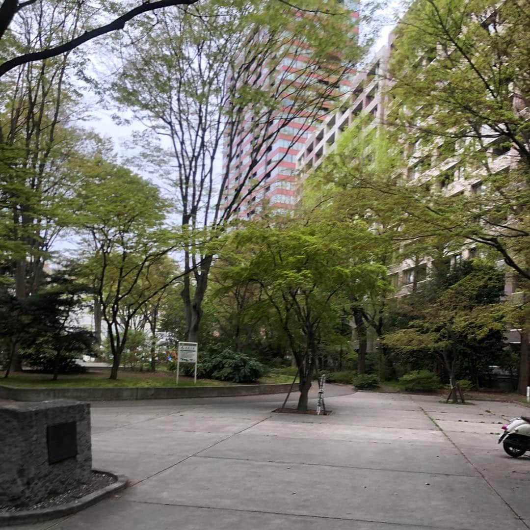 市川海老蔵 （11代目）さんのインスタグラム写真 - (市川海老蔵 （11代目）Instagram)「* おはようございます。 枝垂れ桜。 東京はもう散ってますが、 さすが東北、 まだ残ってる🌸 幸せな気持ちになります。 朝ランニングすると良いことありますね。  #市川海老蔵 #海老蔵 #成田屋 #歌舞伎  #ABKAI #ABMORI #ebizoichikawa #ebizo #kabuki #thunderparty  #classic」4月24日 7時21分 - ebizoichikawa.ebizoichikawa