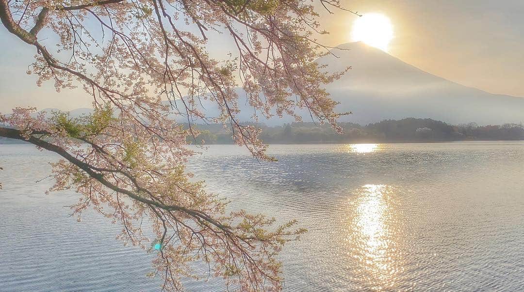 phantastic420のインスタグラム：「. 🤩🤩“Shizuoka” prefecture in Japan is a place where you can see the most “phantastic” Mt. Fuji🗻 in the world.🤩 #富士山 #mtfuji 😇😇😇😇😇😇😇🗻😇😇 Thanks @next_fuji #nextfuji  @jalan_net #jalan_momo  日曜の朝です🌸☀太陽撮った時の緑のドットがiPhone唯一⁈の欠点です🤣 @visit.tokai @shizuoka_kankou #静岡dc #田貫湖  #photois #50000人の写真展 #日本の風景 #東京 @fujifilm_photois #nationalparksjp2019contest」