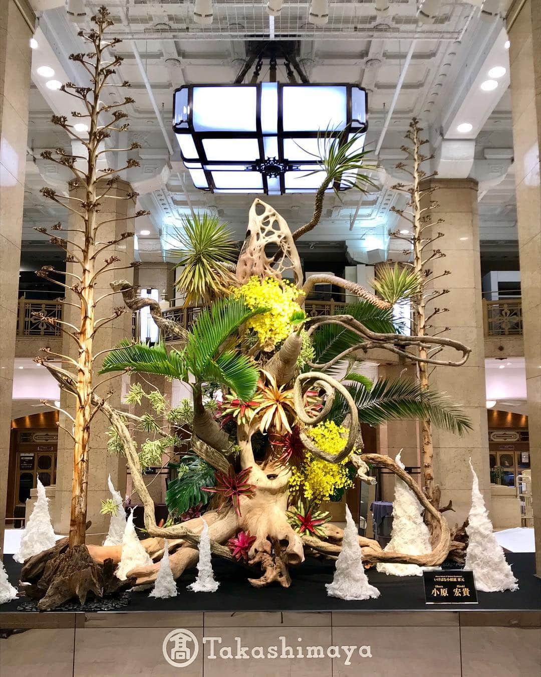 小原宏貴のグルメインスタ