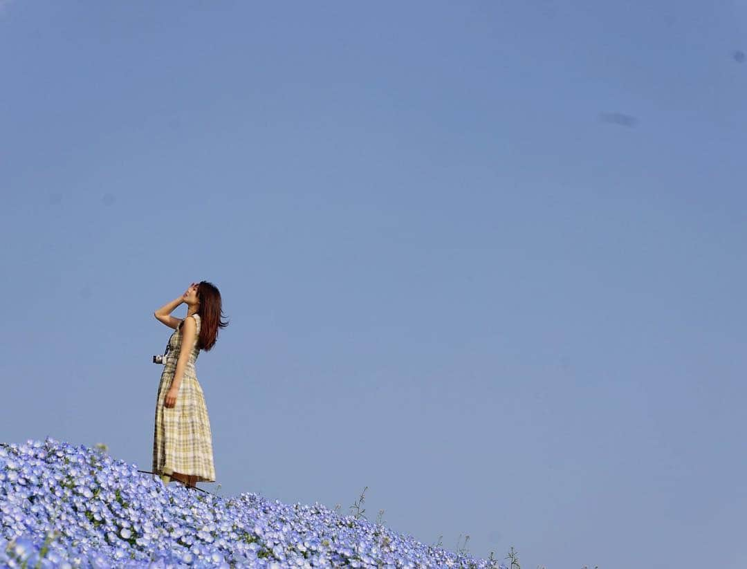 辻井美香さんのインスタグラム写真 - (辻井美香Instagram)「Good morning🇯🇵 #goodmorning #nemophila #blueflowers #photospot #niceshot #portrait #portrait_shot #summervibes #sony📷 #ottd #snidel #yellowclothes #longhairstyles #japanesegirl #followme💋 #tsujii_yoshika」4月24日 8時20分 - tsujii_yoshika