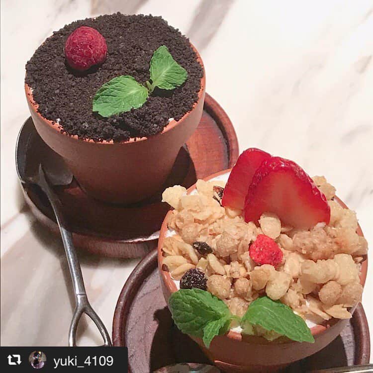 ハレノヒのインスタグラム：「#repost @yuki_4109 via @PhotoAroundApp 🌱🧁✨😋💕🍓🥙﻿ ﻿ ﻿ ﻿ ﻿ 新しく植物育てはじめました🌱✨﻿ ﻿ というのは冗談で😅﻿ この間ランチしたお店でかわいい﻿ フラワーポットのスイーツがあったょ🧁✨﻿ ﻿ こう見えて中はチーズケーキ﻿ でもかわいく見えて食べづらいから﻿ 覚悟して食べてね💗﻿ ランチはタコライス🥙 ﻿ ୨୧┈┈┈┈┈┈┈┈┈┈┈┈┈┈┈┈┈┈୨୧﻿﻿﻿﻿﻿﻿﻿﻿﻿﻿﻿﻿﻿ #harenohi #ハレノヒ #新宿カフェ #タコライス #新宿ルミネエスト #フラワーポット #鉢植えスイーツ #スイーツ #sweets #インスタ映え @yuki_4109様 ご来店ありごとうございます😊お写真も嬉しいです♪ #かわいい#ケーキ#ここでしか食べられない#カフェ」