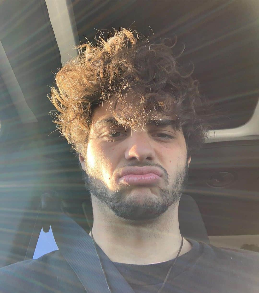 ノア・センティネオのインスタグラム：「I truly prefer this guy to the other ones」