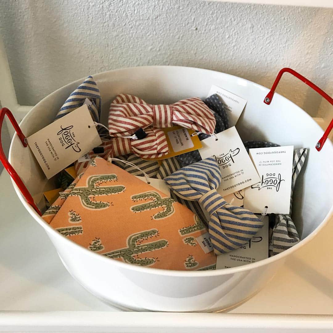 Dogs by Ginaのインスタグラム：「Bandanas and Bow Ties」