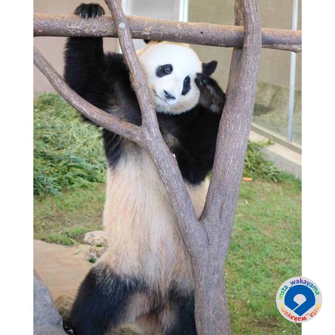 和歌山県のインスタグラム