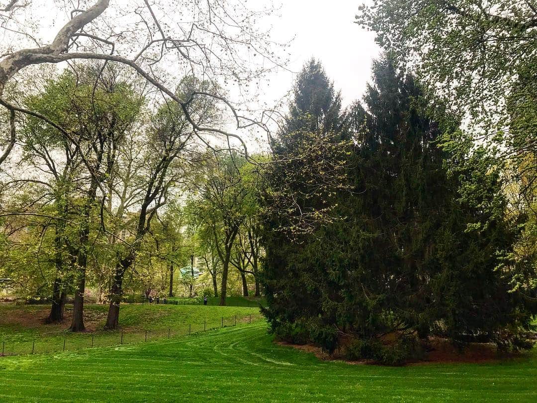 イヴォンヌ・ストラホフスキーさんのインスタグラム写真 - (イヴォンヌ・ストラホフスキーInstagram)「So much green today in #centralpark !!! #springishere What a welcome sight after winter !!! #nyc 🌳🌱🌿🍃🐢🐛🐿」4月24日 10時14分 - yvonnestrahovski
