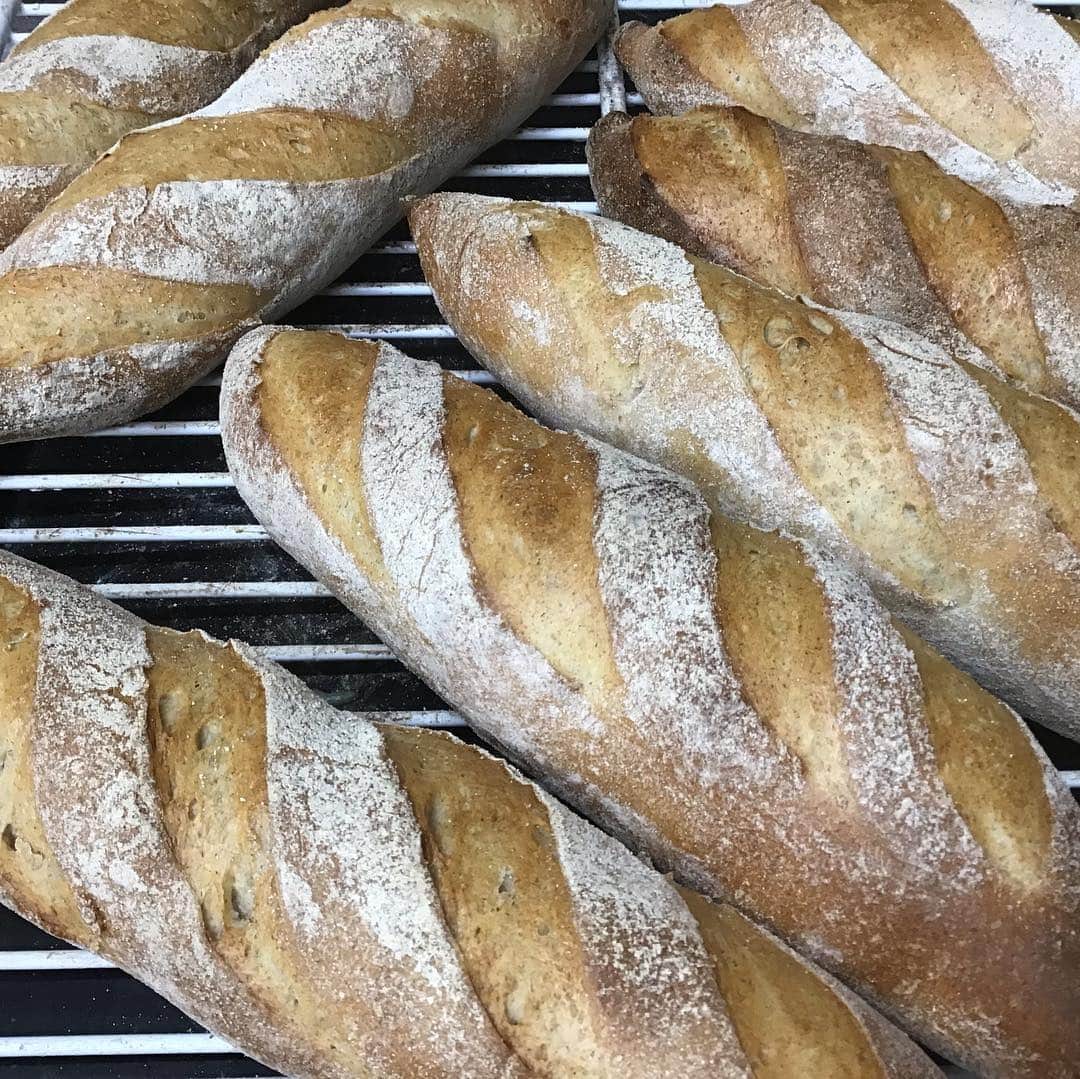 魔女菅原のグルメインスタ