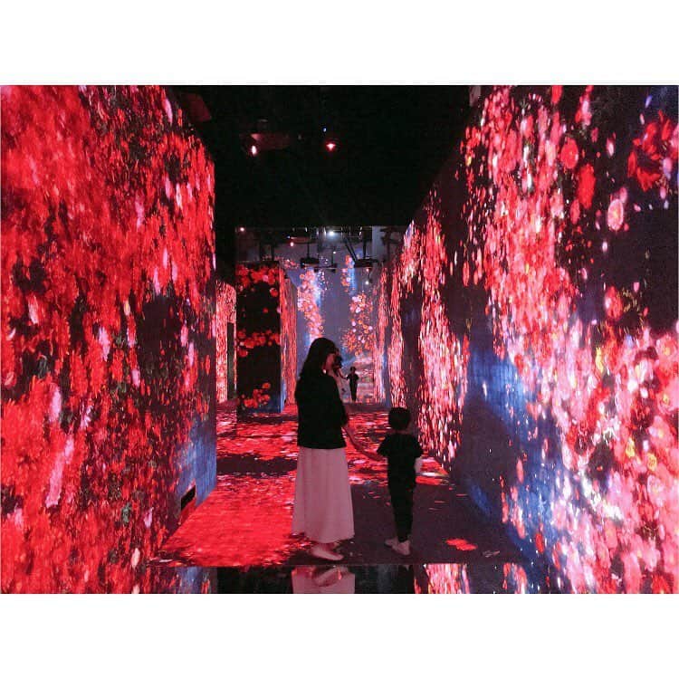 大谷朋子さんのインスタグラム写真 - (大谷朋子Instagram)「♡ * 桜はもう随分前のように感じますが、 平成最後のお花見、楽しみましたか？  お花見出来なかったって方、まだ間に合いますよ🌸 * お台場にある 「森ビル デジタルアート ミュージアム： エプソン チームラボ ボーダレス」で、 デジタルアートで楽しむ花見イベントが開催されているんです◡̈⃝⋆ * 私も、幻想的で美しい世界の平成最後のお花見を楽しんできました🌸 * 息子はチームラボが大好きで、デジタルアートの楽しみ方、かなりマスターしていましたw 大人も子供も楽しめるお花見🌸 * 平成最後にお花見気分を味わいたいという方、 ぜひ遊びに行ってみてください♡ バイトルの可愛い「チューイチ」にも会えるかも🐭❤️ * * #バイトル花見 #promotion #チームラボ #チームラボボーダレス #teamLab #teamLabBorderless #お花見 #花見 #桜 #sakura」4月24日 10時22分 - tomoko_ohtani
