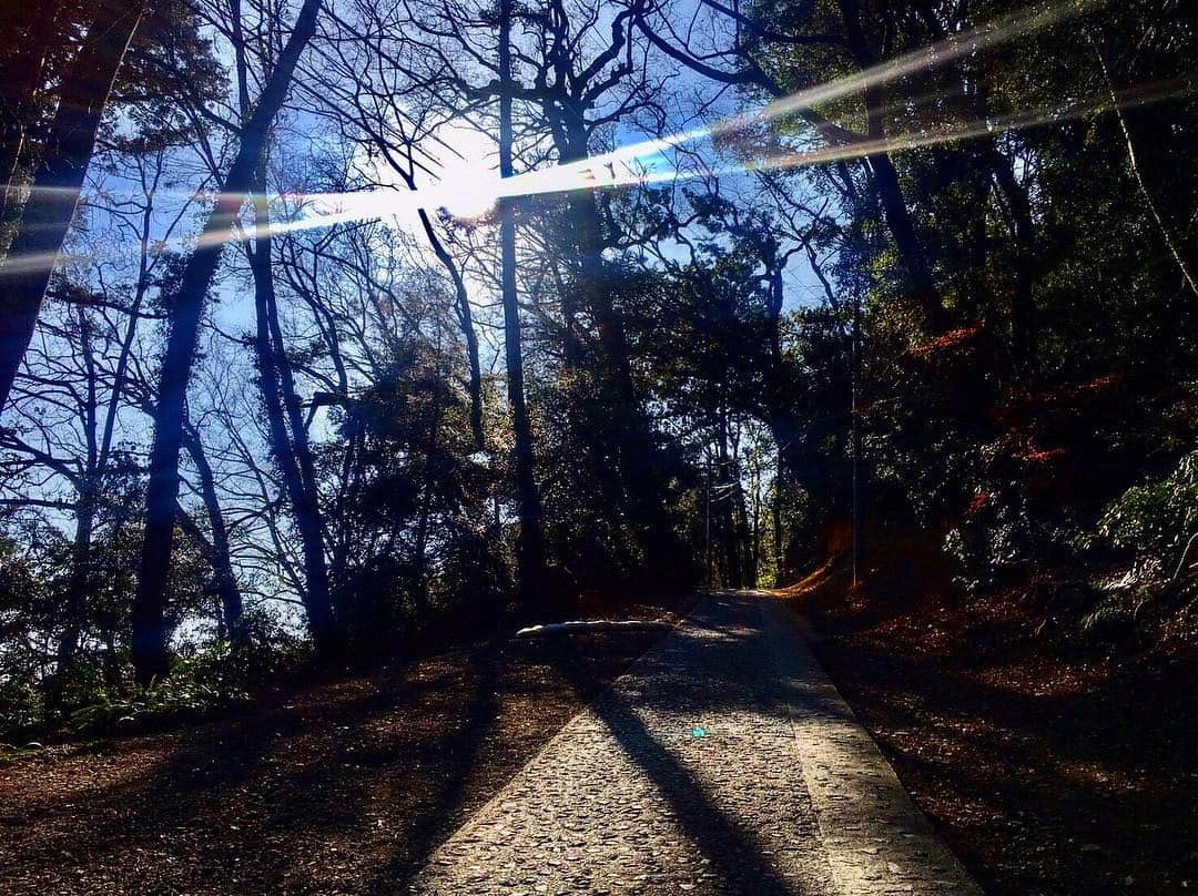 川添りなさんのインスタグラム写真 - (川添りなInstagram)「高尾山 また登りたいなぁ… 🌳🍃⛰💚」4月24日 10時24分 - zorina_522