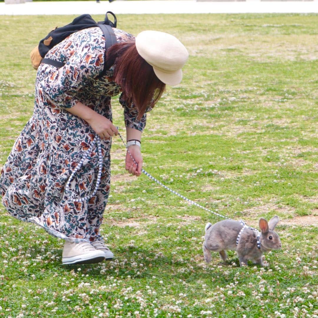 Kayoのインスタグラム：「『オレについてきて💚』 おねぃさんとの再会嬉しくて♫ まとわりつきのクセもつよい😂」