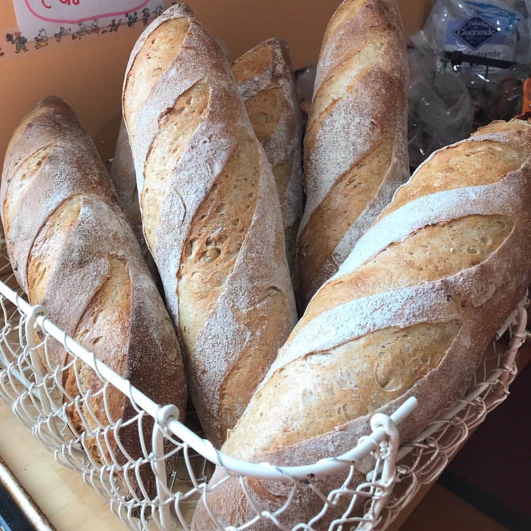 魔女菅原のグルメインスタ