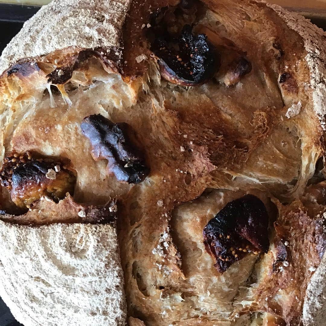 魔女菅原のグルメインスタ