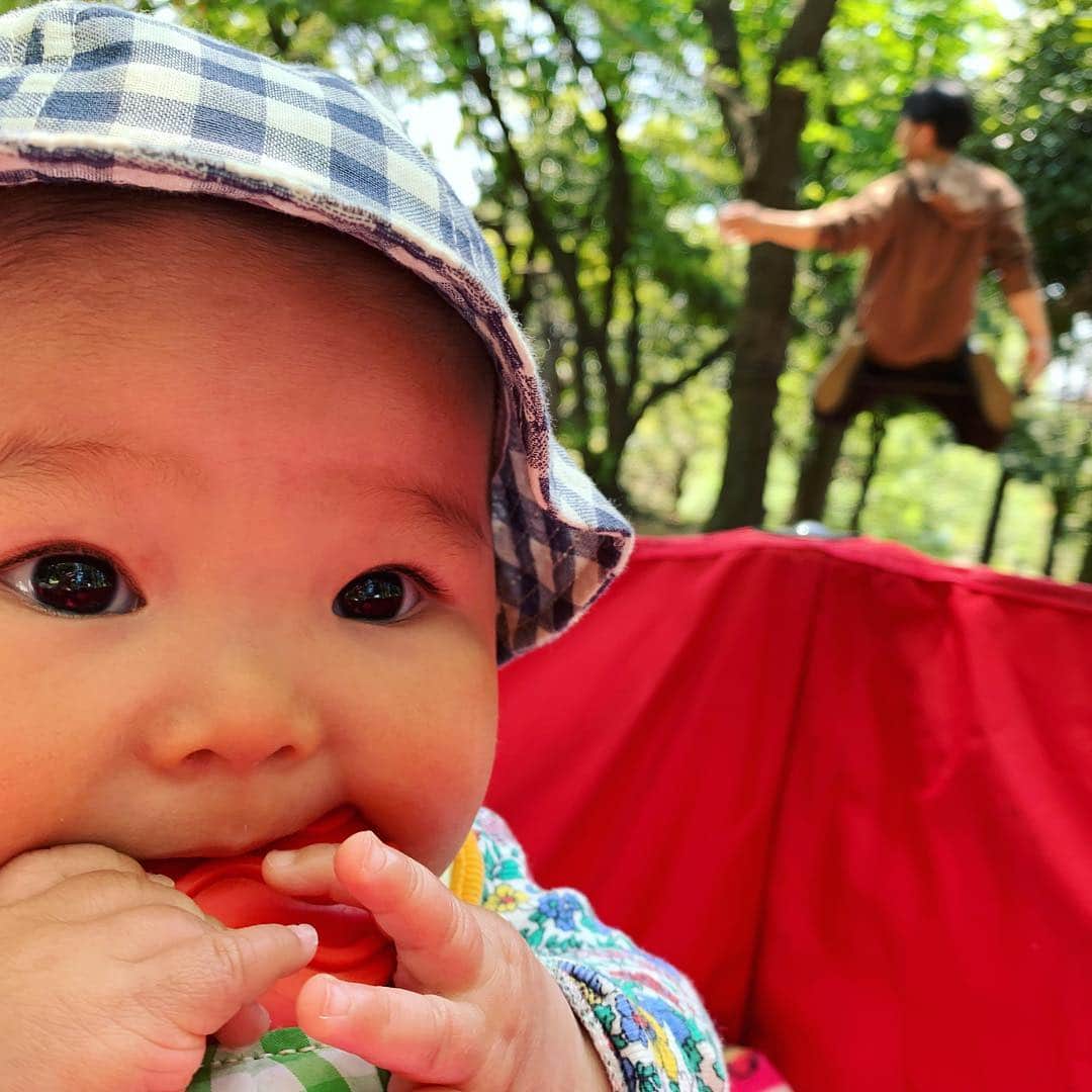 福田恭巳のインスタグラム：「Slackline with my family❤️ #slackline #slacklife #スラックライン #ヨガ #yoga #yogaslacker #バランス #赤ちゃんのいる生活 #女の子ママ #産後 #9月生まれ #女の子ベビー #生後7ヶ月 #gibbonslacklines #yukimi #福田恭巳 #産後ママ #産後スラックライン」