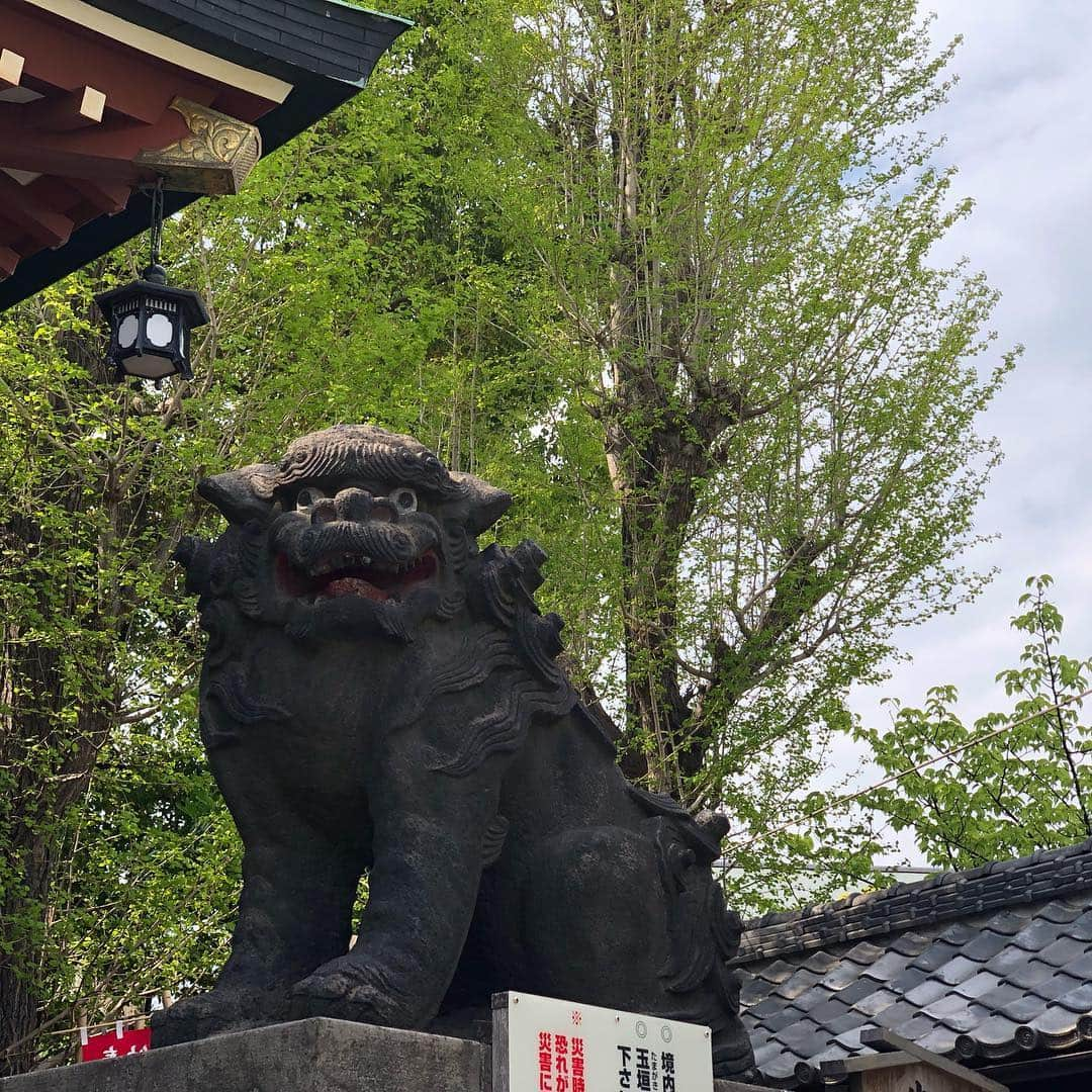 小石田純一さんのインスタグラム写真 - (小石田純一Instagram)「平井諏訪神社で売れますようにと神頼み。  #平井諏訪神社 #神社 #神社仏閣 #神社巡り #神社仏閣巡り #神社好き #参拝 #小石田純一 #お笑い芸人 #ものまね芸人 #ピン芸人 #芸人 #諏訪神社 #平井」4月24日 11時42分 - koishida.trendy