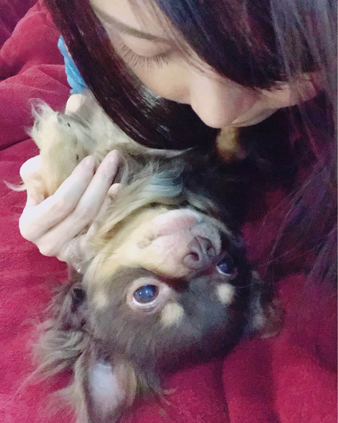 杉原杏璃さんのインスタグラム写真 - (杉原杏璃Instagram)「癒しです。  なんか 今日は 決めなきゃいけない事沢山で💦  なんとかなるでしょ精神が、ここにきて首を絞めてる感じで  写真撮るのも忘れ  大事なところに電話するのも忘れ  ボケボケな中、出かけておりました💨💨 愛犬は🐕相変わらず ひっくり返って ラッコのように仰向けで  大の字になってごゆっくりされてますw  平和だな〜  #japan  #LOVE  #love  #instagood  #YOLO  #new  #look  #follow  #happy  #fun  #funny 　#smile  #beauty  #swag  #girl  #girls  #me  #fashion  #アンラブ  #グラビア  #アイドル  #グラドル  #グラビアアイドル  #anrisugihara  #杉原杏璃」4月24日 22時36分 - anri.sugihara.anri