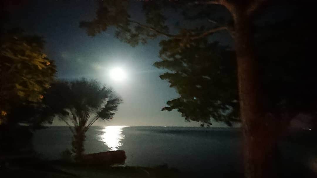 松坂南さんのインスタグラム写真 - (松坂南Instagram)「こちらは、平成最後の満月✨  フィリピンにて撮影。  夜だけど、昼みたいに写った！ それだけフィリピンの空は綺麗なんです  #itsmorefuninthephilippines  #もっときれいになれるフィリピン」4月24日 22時36分 - minami_matsuzaka