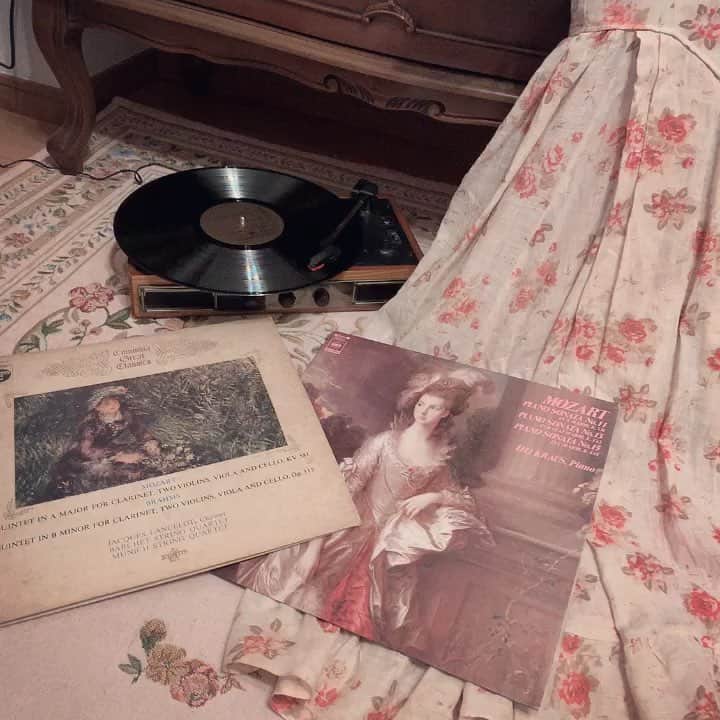 酒元麻衣（まいへー）のインスタグラム：「ぽんちゃんが帰ってくるまで🕊 癒しの時間☺︎ #records#mozart#brahms#classic」