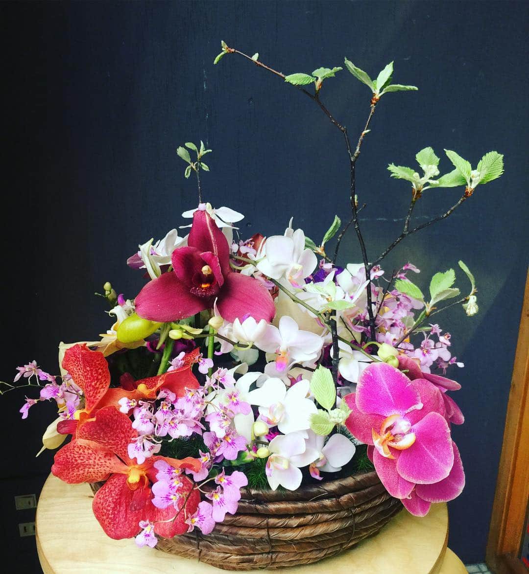 小柳津真由美さんのインスタグラム写真 - (小柳津真由美Instagram)「月1 曽我部 翔先生のフラワーアレンジメントレッスン 今月のテーマは「令和」 蘭のアレンジメントです  #曽我部翔先生のフラワーアレンジメントレッスン #フラワーアレンジメント #蘭のアレンジメント #令和をテーマにアレンジ #小柳津真由美」4月24日 21時13分 - mayumioyaizu