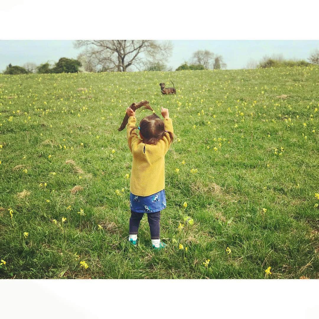 ダイアナ湯川さんのインスタグラム写真 - (ダイアナ湯川Instagram)「Before the rain came ☔️ . . . . #daughter #babygirl #toddler #19monthsold #dog #sausagedog #dachshund #mybabies #cuties #cowslip #meadow #countrylife #mamalife #motherhood #happiness」4月24日 21時32分 - diana.yukawa