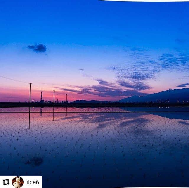 西条市のインスタグラム