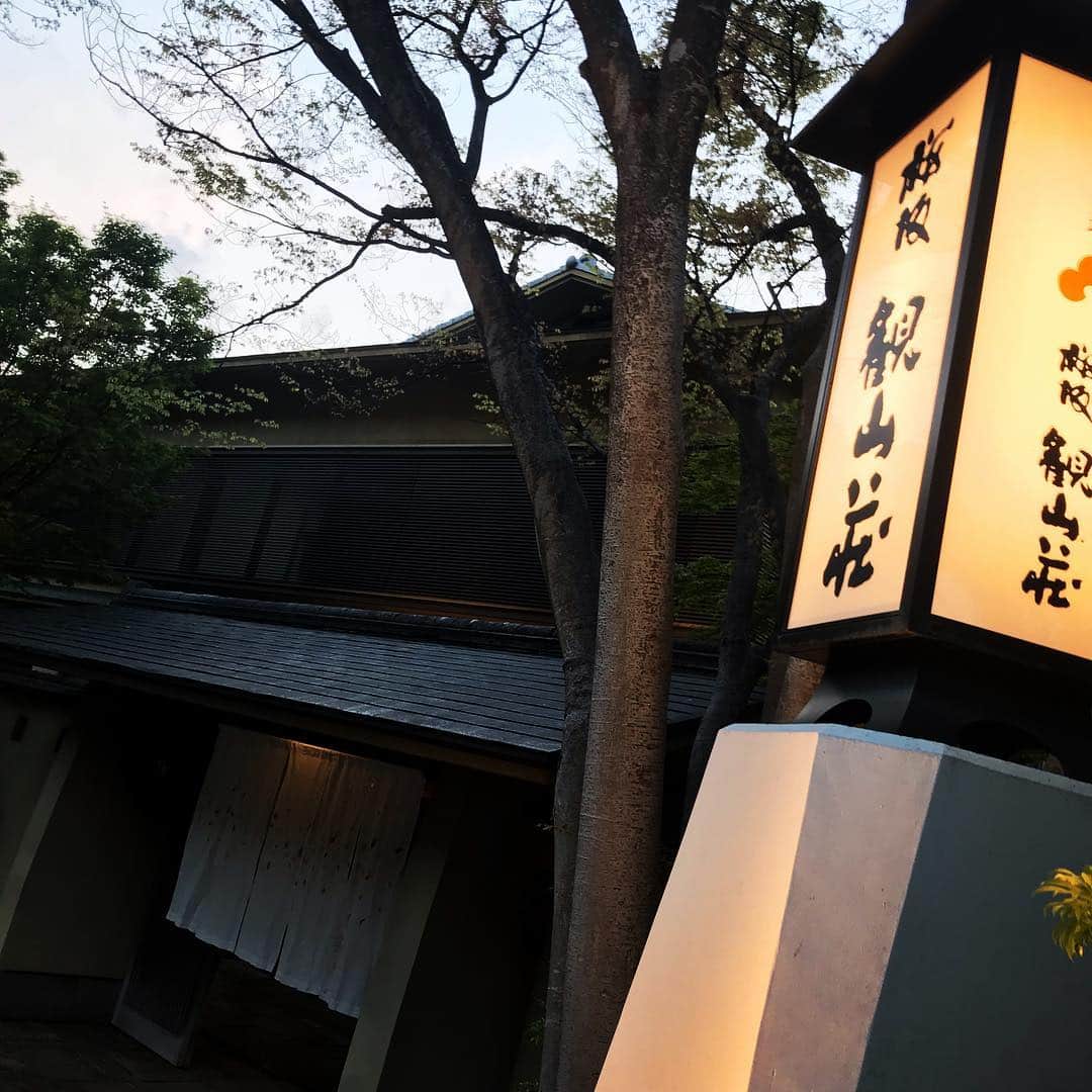 TOGGYのグルメインスタ