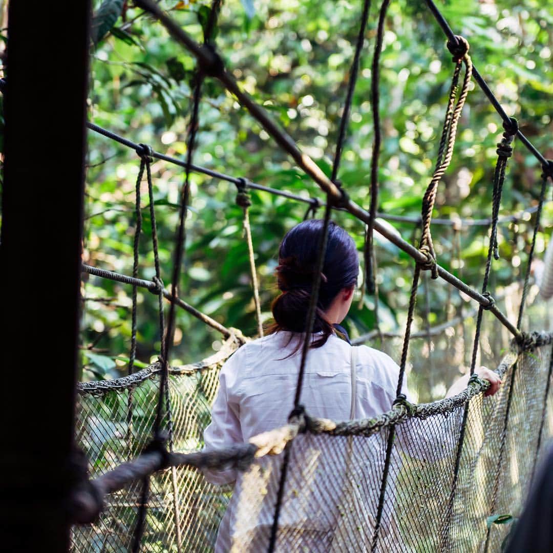 李翔さんのインスタグラム写真 - (李翔Instagram)「#Amazon 之二 這天，我們在導遊的私心推薦下。來這座導遊爸爸參與興建的高空熱帶雨林平台（Canopy Walkway） 這個系統早起，是讓科學家還有學者，來研究以及觀察熱帶雨林用的 - 身處在約高30公尺 看著向地平線延伸的雨林，真的非常興奮，記得當時的感動，到現在還是久久不能自已。 - 謝謝 @peru @sonytaiwan  #SonyAlpha #SonyA7M3 #SonyA7III #Sony秘魯映像#SEL24105G - #Lr_Vibrant #bbctravel #natgeo #stayandwander  #natgeoyourshot #yourshotphotographer #lima  #差差秘魯紀錄 #whpplanetearth  #traveladventures  #lovetheworld  #ilovetravel #natgeotravel #春  #igersperu  #peru #gothere #spring #culturetrip #yourshot  #BeAlpha  #mylpguide #lonelyplanet  #tripcom」4月24日 22時07分 - rookie030
