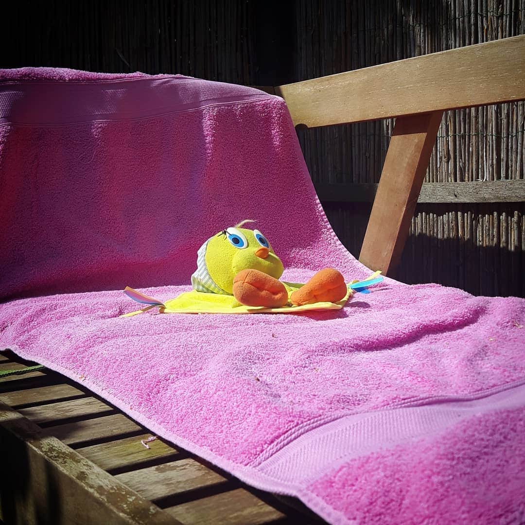 Little Yellow Birdさんのインスタグラム写真 - (Little Yellow BirdInstagram)「Another glorious sunny day! And no tan lines for me... #littleyellowbird #tweety #tweetykweelapis #adventures #yellow #bird #wednesday #sun #sunnyday #sunnyweather #spring #lente #tanlines #tan #sunbathing #bluesky #globalwarminghasitsperks #stuffedanimalsofinstagram #plushiesofinstagram」4月24日 22時13分 - tweetykweelapis