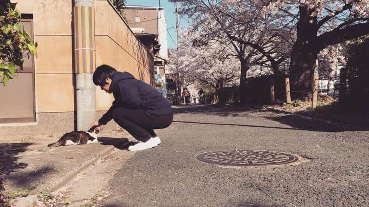 スネオヘアーのインスタグラム