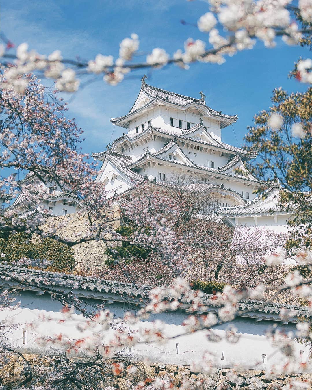 Berlin Tokyoさんのインスタグラム写真 - (Berlin TokyoInstagram)「🏯 Himeji castle aka "White Egret Castle" or "White Heron Castle.  Because of its brilliant white exterior and supposed resemblance to a bird taking flight. . . .📍himeji, #japan」4月24日 22時33分 - tokio_kid