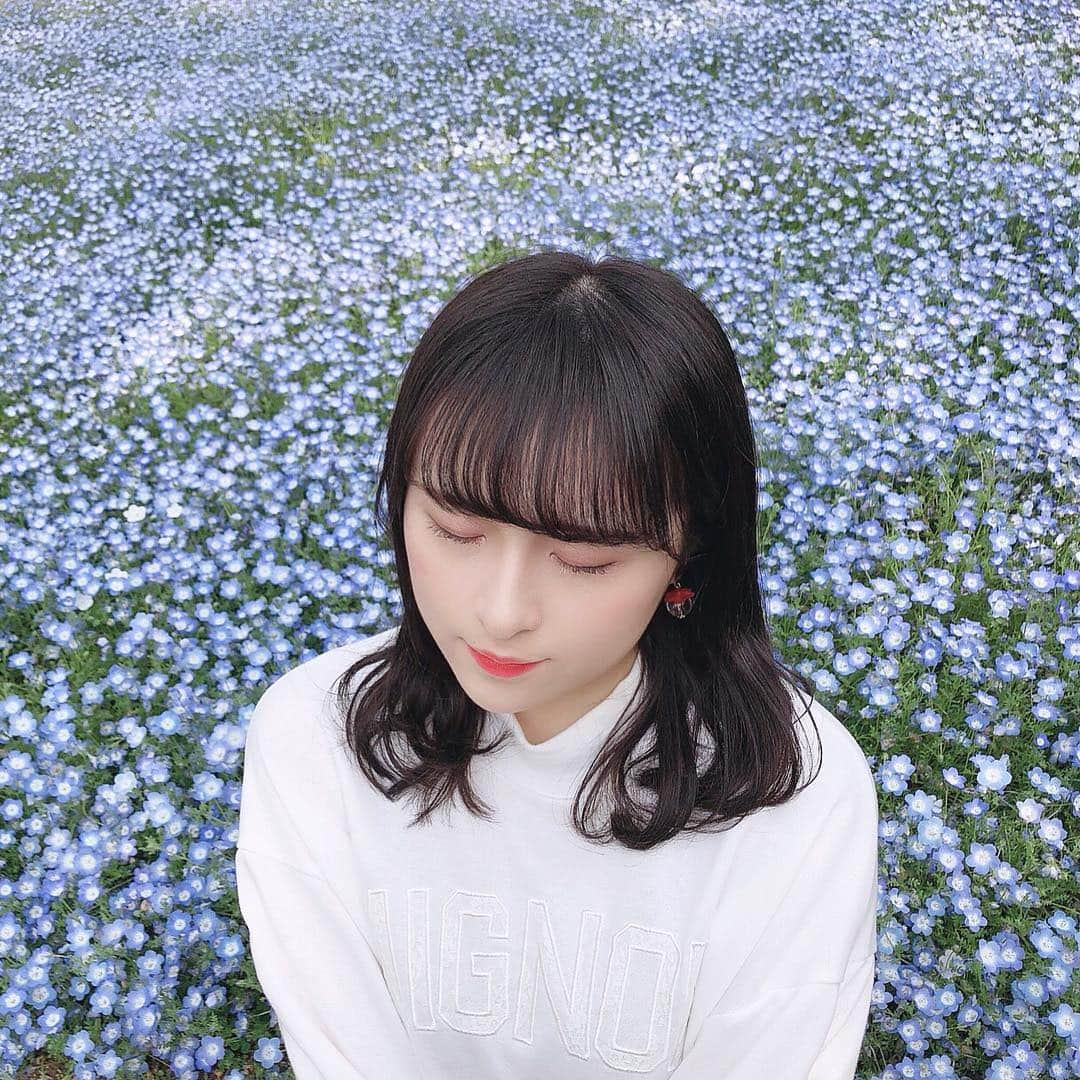 川本紗矢さんのインスタグラム写真 - (川本紗矢Instagram)「綺麗でした…💠💙 . #花 #ネモフィラ #綺麗」4月24日 22時31分 - sayaya_38