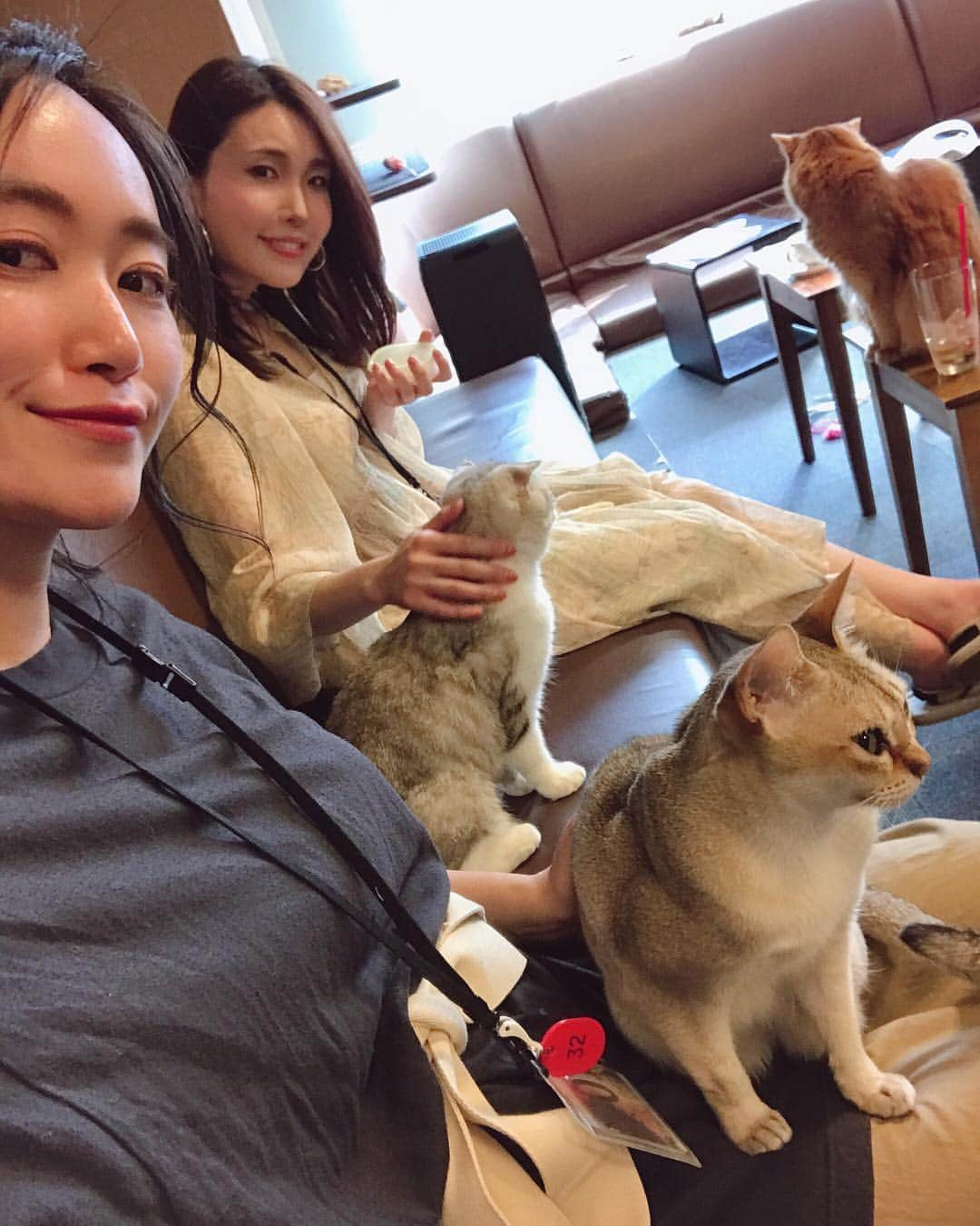 江守沙矢さんのインスタグラム写真 - (江守沙矢Instagram)「きのうの 定期的に癒しにをもらいに猫カフェに出かける #モフ活 . .  たくさんのニャンコに囲まれて天国のような時間だった。 いつも猫がのびのびしていて本当にいいところだ . . . トトさんもいいけど猫はまた別のα派出てると思う . . .  #猫カフェ #モフ活 #保護猫カフェ #きゃりこ ＃猫 #ネコ #cat #保護猫 #猫天国 #もふもふ」4月24日 13時39分 - saya_emori