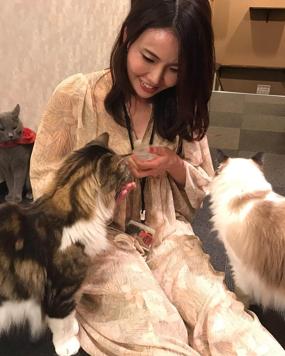 江守沙矢さんのインスタグラム写真 - (江守沙矢Instagram)「きのうの 定期的に癒しにをもらいに猫カフェに出かける #モフ活 . .  たくさんのニャンコに囲まれて天国のような時間だった。 いつも猫がのびのびしていて本当にいいところだ . . . トトさんもいいけど猫はまた別のα派出てると思う . . .  #猫カフェ #モフ活 #保護猫カフェ #きゃりこ ＃猫 #ネコ #cat #保護猫 #猫天国 #もふもふ」4月24日 13時39分 - saya_emori