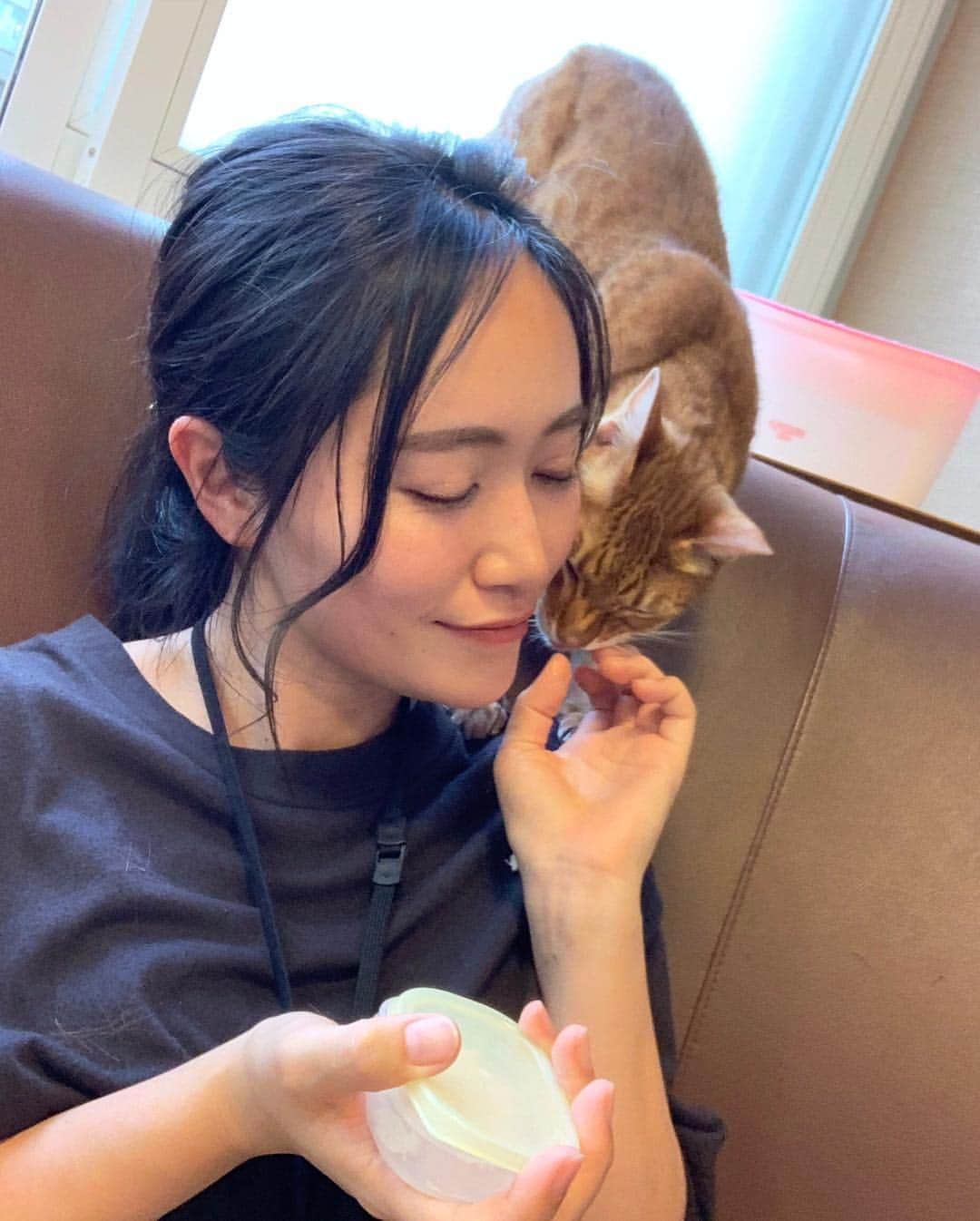 江守沙矢さんのインスタグラム写真 - (江守沙矢Instagram)「きのうの 定期的に癒しにをもらいに猫カフェに出かける #モフ活 . .  たくさんのニャンコに囲まれて天国のような時間だった。 いつも猫がのびのびしていて本当にいいところだ . . . トトさんもいいけど猫はまた別のα派出てると思う . . .  #猫カフェ #モフ活 #保護猫カフェ #きゃりこ ＃猫 #ネコ #cat #保護猫 #猫天国 #もふもふ」4月24日 13時39分 - saya_emori