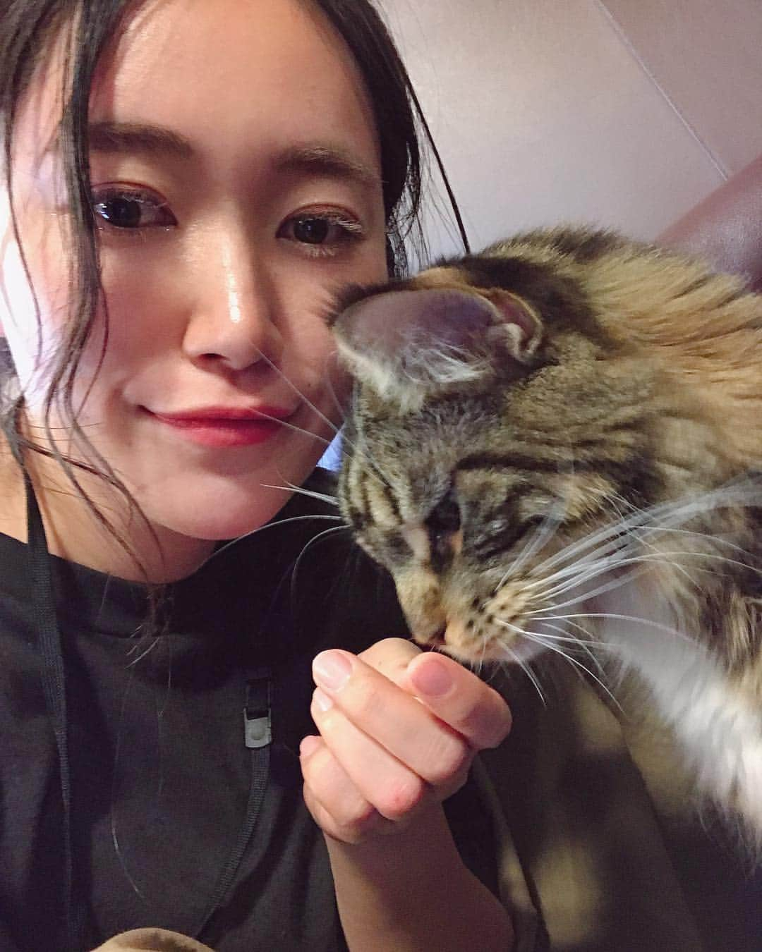 江守沙矢さんのインスタグラム写真 - (江守沙矢Instagram)「きのうの 定期的に癒しにをもらいに猫カフェに出かける #モフ活 . .  たくさんのニャンコに囲まれて天国のような時間だった。 いつも猫がのびのびしていて本当にいいところだ . . . トトさんもいいけど猫はまた別のα派出てると思う . . .  #猫カフェ #モフ活 #保護猫カフェ #きゃりこ ＃猫 #ネコ #cat #保護猫 #猫天国 #もふもふ」4月24日 13時39分 - saya_emori