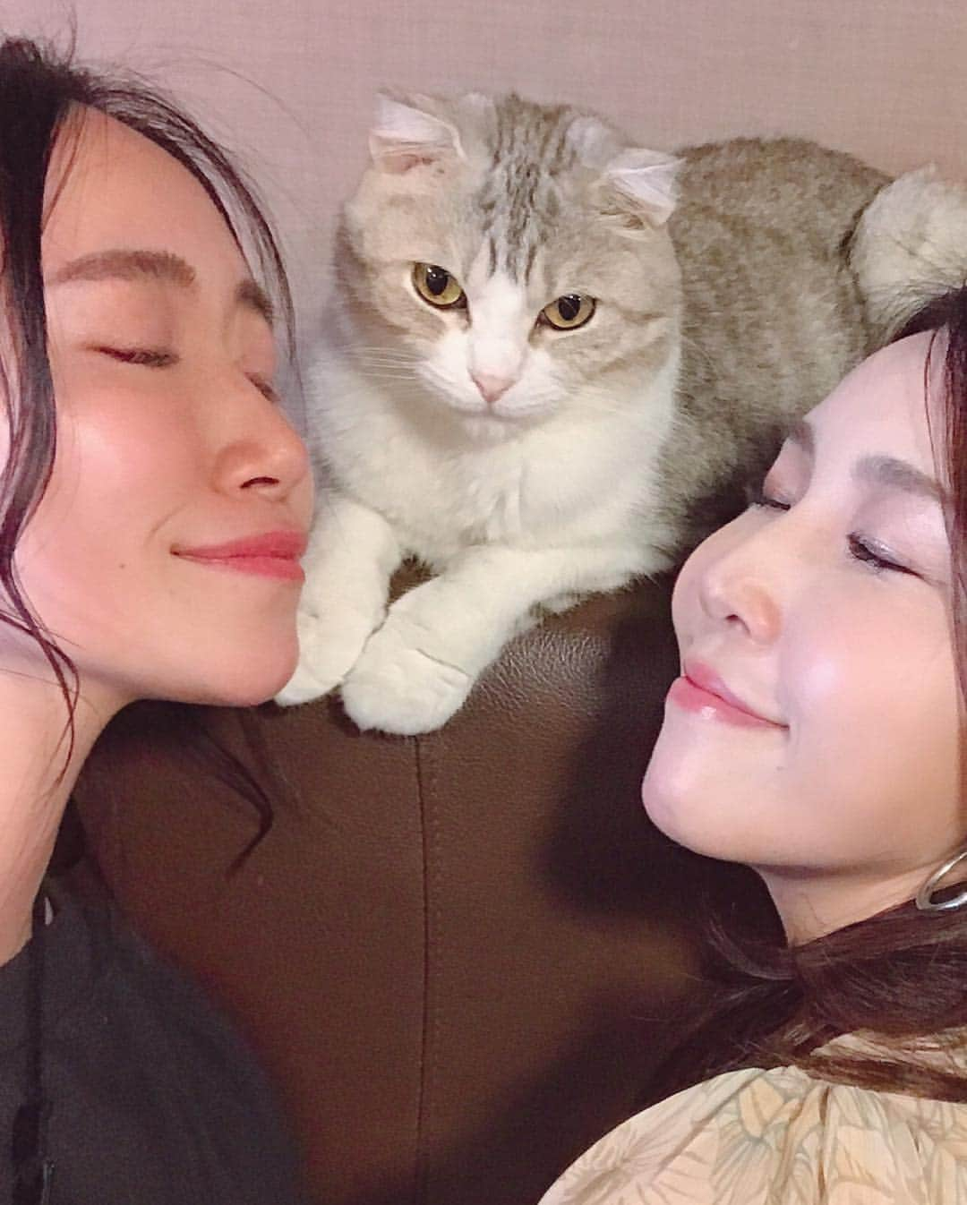 江守沙矢さんのインスタグラム写真 - (江守沙矢Instagram)「きのうの 定期的に癒しにをもらいに猫カフェに出かける #モフ活 . .  たくさんのニャンコに囲まれて天国のような時間だった。 いつも猫がのびのびしていて本当にいいところだ . . . トトさんもいいけど猫はまた別のα派出てると思う . . .  #猫カフェ #モフ活 #保護猫カフェ #きゃりこ ＃猫 #ネコ #cat #保護猫 #猫天国 #もふもふ」4月24日 13時39分 - saya_emori