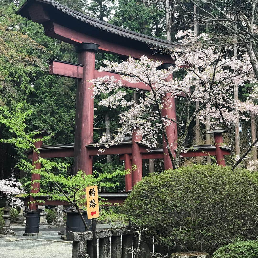 柿崎洋一郎さんのインスタグラム写真 - (柿崎洋一郎Instagram)「北口本宮冨士浅間神社 久しぶりに来ることができました。」4月24日 14時11分 - kakiyan37